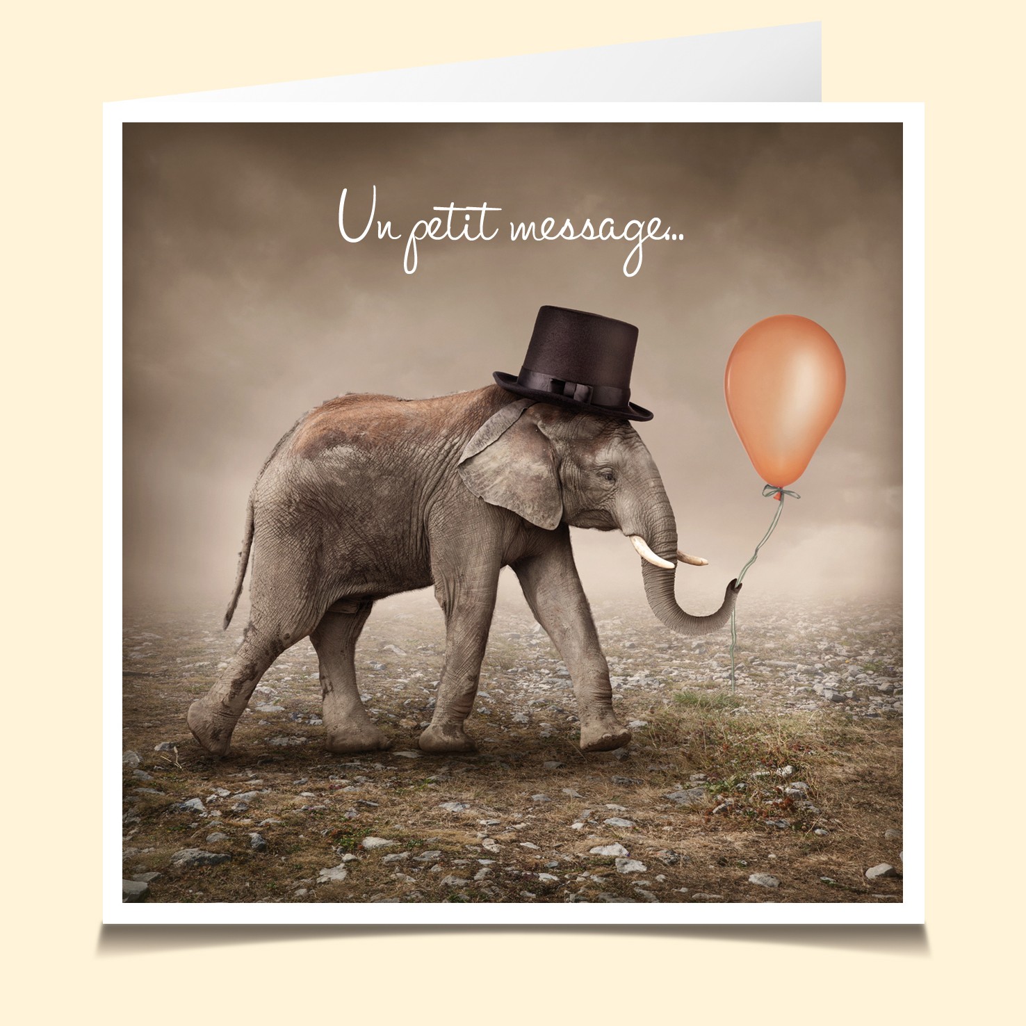 Carte Balloon Enregistrable Voix Et Video La Carte Vocale Com